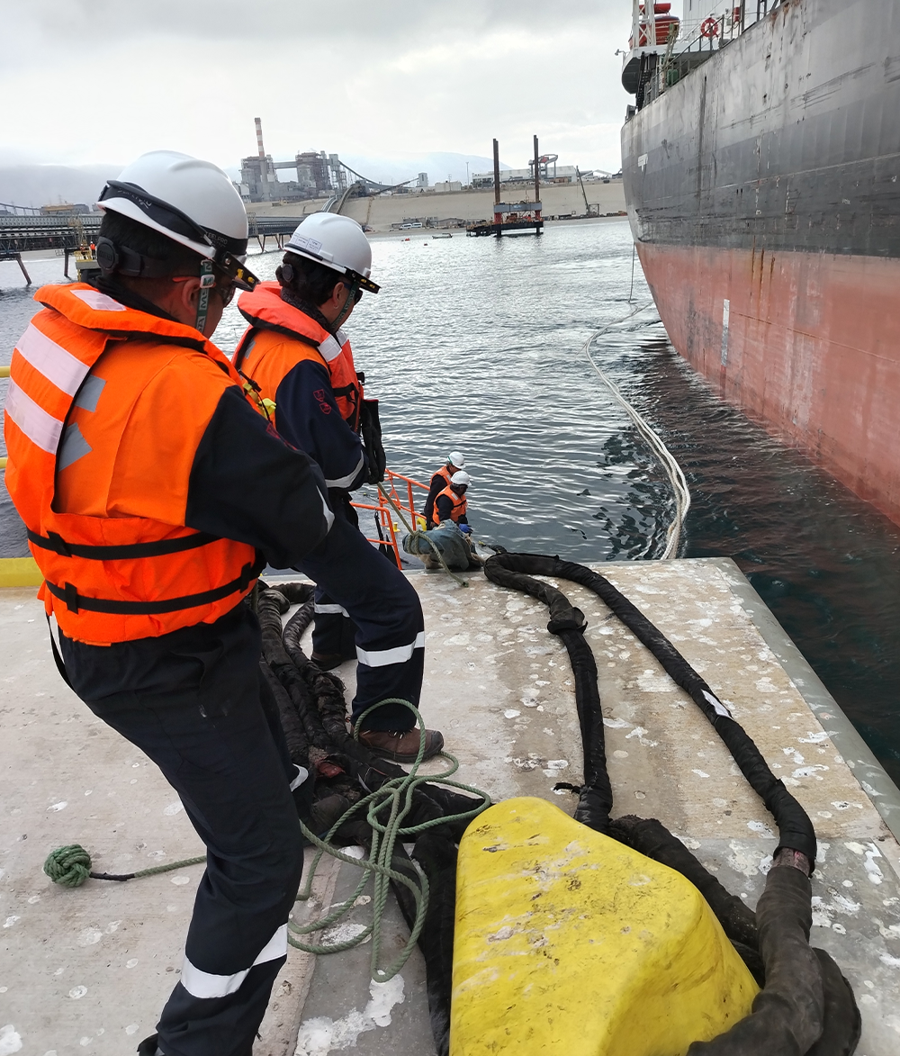 Amarras, Desamarras de naves en terminales portuarios